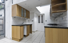 Ballymena kitchen extension leads